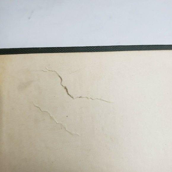 Antique 1920 Agriculture Book Asparagus Its Culture for Home Use and for Market - Picture 12 of 12